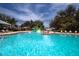 Community pool with a slide at 13106 Zolo Springs Cir, Riverview, FL 33579