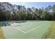 Outdoor basketball court with green surface surrounded by trees, perfect for a friendly game at 5913 Lawrin Ct, Wesley Chapel, FL 33544