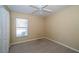 Cozy bedroom with neutral carpet, ceiling fan, and natural light at 5913 Lawrin Ct, Wesley Chapel, FL 33544