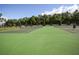 Well-maintained tennis courts in a community setting, ready for a match at 5913 Lawrin Ct, Wesley Chapel, FL 33544