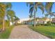 Beautiful single-story home surrounded by mature palm trees and lush green lawn at 3943 Fontainebleau Dr, Tampa, FL 33634