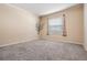 A carpeted bedroom features a window dressed with curtains and a decorative tree decal on the wall at 11018 Courtland St, Trinity, FL 34655