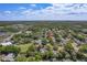 Scenic aerial view showcases the home within a mature tree canopy neighborhood at 1740 Shady Leaf Dr, Valrico, FL 33596