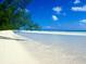 Tropical beach with white sand, clear blue water, and lush vegetation at 2893 Turtle Ter, Palm Harbor, FL 34683