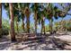 A shady picnic area features a wooden picnic table surrounded by palm trees, offering a relaxing spot at 2901 Pelham Rd N, St Petersburg, FL 33710