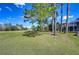 Scenic view of the lush golf course with beautiful trees at 18126 Kara Ct, Tampa, FL 33647