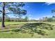 Scenic view of lush green golf course under a bright blue sky, perfect for golf enthusiasts at 18126 Kara Ct, Tampa, FL 33647