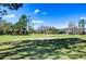 Beautiful view of golf course, landscaping and blue sky at 18126 Kara Ct, Tampa, FL 33647