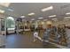 Community gym with cardio equipment, weight machines, and fitness accessories at 18126 Kara Ct, Tampa, FL 33647