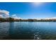 Scenic view of the lake surrounded by lush greenery and bright sunlight at 256 Cypress Ln # 120, Oldsmar, FL 34677