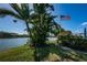 Picturesque view of the lake, enhanced by American flag and swaying palm trees on a clear day at 256 Cypress Ln # 120, Oldsmar, FL 34677