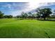 View of the lush green grass on the meticulously maintained golf course at 2731 Sherbrooke Ln # D, Palm Harbor, FL 34684