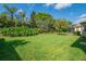 Expansive backyard with lush greenery, mature trees, and pristine lawn at 4946 Sapphire Sound Dr, Wimauma, FL 33598