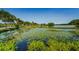 Scenic pond view with lily pads, palm trees, and lush greenery under a clear blue sky at 6315 Shoreline Dr # 3305, Madeira Beach, FL 33708