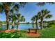 Beautiful lake view from a park bench under palm trees at 6315 Shoreline Dr # 3305, Madeira Beach, FL 33708