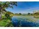 Scenic water view with lily pads, lush greenery, and mature trees at 6315 Shoreline Dr # 3305, Madeira Beach, FL 33708