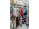 Organized walk-in closet with ample hanging space, shelving, and shoe storage at 9101 Highland Ridge Way, Tampa, FL 33647