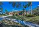 A well-maintained home with a manicured lawn, palm trees, and beautiful curb appeal at 9101 Highland Ridge Way, Tampa, FL 33647