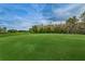 Scenic view of the meticulously maintained green golf course with flag, lush trees, and blue sky at 9101 Highland Ridge Way, Tampa, FL 33647