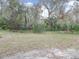 Large backyard featuring mature trees, partial fence, and abundant foliage at 3147 Sunwatch Dr, Wesley Chapel, FL 33544