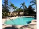 Community pool surrounded by lush landscaping and lounge chairs, perfect for relaxation and recreation at 9705 Bay Grove Ln, Tampa, FL 33615