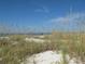 Beach dunes are covered with lush grass and a view of the ocean at 11 San Marco St # 807, Clearwater Beach, FL 33767