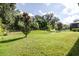 Expansive lush backyard featuring mature trees, a pond, and plenty of green space at 21807 Amelia Rose Way, Land O Lakes, FL 34637