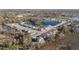 Scenic aerial view of neighborhood featuring a beautiful community pond at 22990 Scaglione Dr, Lutz, FL 33549