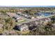 A neighborhood aerial view showcasing community pond and well maintained lawns at 22990 Scaglione Dr, Lutz, FL 33549