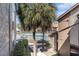 View of community pool with palm trees and lounge chairs, surrounded by well-maintained buildings at 6308 Newtown Cir # 8C5, Tampa, FL 33615