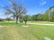 Golf carts driving along the green backyard, highlighted by mature trees and landscaping at 25950 Risen Star Dr, Wesley Chapel, FL 33544