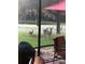Relaxing screened patio offering views of deer grazing near the property at 25950 Risen Star Dr, Wesley Chapel, FL 33544