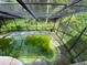 Aerial shot of a pool that is green with algae and surrounded by a screened enclosure at 3712 Murray Dale Dr, Valrico, FL 33596