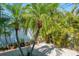 Backyard with gravel, lush tropical greenery and plants in pots. The space offers serene and natural beauty at 4550 Plaza Way, St Pete Beach, FL 33706