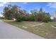 A view of the vacant lot showing grass and trees next to a street at 5357 Kirkwood Ave, Spring Hill, FL 34608