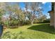 Lush green backyard featuring mature trees and landscaping, providing a serene outdoor space at 15944 Ternglade Dr, Lithia, FL 33547