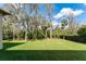 Lush backyard featuring a well-maintained lawn and mature trees, providing privacy and shade at 15944 Ternglade Dr, Lithia, FL 33547