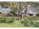 Spacious backyard with a mature tree and a bench at 16120 Rambling Vine E Dr, Tampa, FL 33624