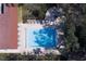Aerial view of sparkling community pool surrounded by lush trees and lounge chairs at 2612 Pearce Dr # 310, Clearwater, FL 33764