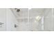 Modern bathroom shower with beautiful tile, brushed nickel hardware, and glass door at 8408 Bob Wiggs Ave, Lithia, FL 33547