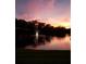 Picturesque pond with illuminated fountain at dusk reflecting vibrant pink and orange hues of the sunset at 1405 Kensington Woods Dr, Lutz, FL 33549