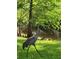 Graceful Sandhill Crane strolling on lush green lawn near serene pond with trees adding to outdoor charm at 1405 Kensington Woods Dr, Lutz, FL 33549