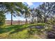 Spacious backyard featuring green grass and trees overlooking marsh views at 1472 Ivydale Rd, Spring Hill, FL 34606