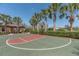 Community's basketball court surrounded by palm trees and lush green landscaping at 5062 Stone Harbor Cir, Wimauma, FL 33598