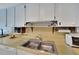 Close-up of the kitchen sink area featuring ample counter space and storage options at 612 Allegheny Dr, Sun City Center, FL 33573
