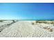 A sandy path leads to a tranquil beach at 11730 Gulf Blvd # 5, Treasure Island, FL 33706