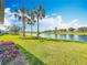 Expansive backyard features lush green lawn, palm trees, and beautiful lake views at 1219 Huntington Greens Dr, Sun City Center, FL 33573