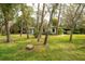 Charming home nestled among mature trees with a spacious lawn at 29318 Whipporwill Ln, Wesley Chapel, FL 33543