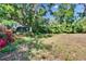 View of the backyard with mature trees, shed, and colorful flower bushes at 603 S Sylvan Dr, Brandon, FL 33510