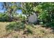 A small garden shed sitting amid lush greenery, flowers, and mature trees at 603 S Sylvan Dr, Brandon, FL 33510